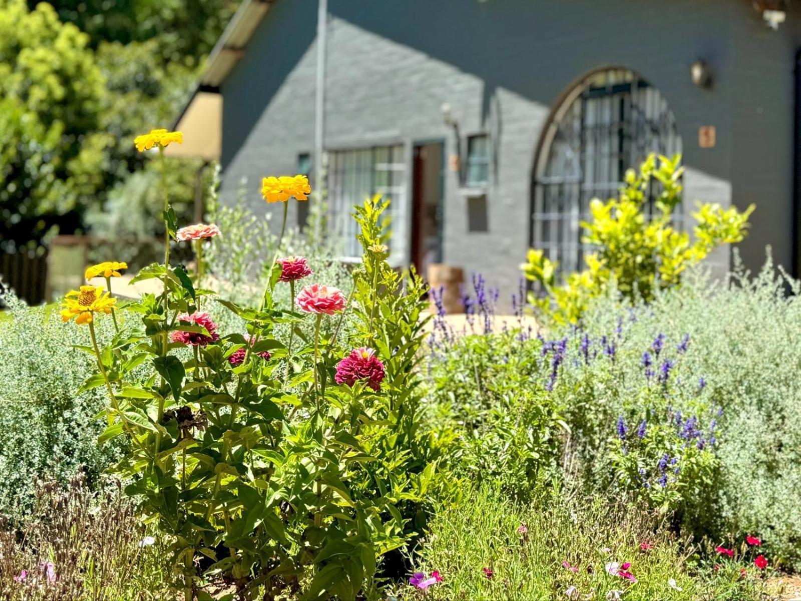 Fiddler'S Green Magoebaskloof Dış mekan fotoğraf