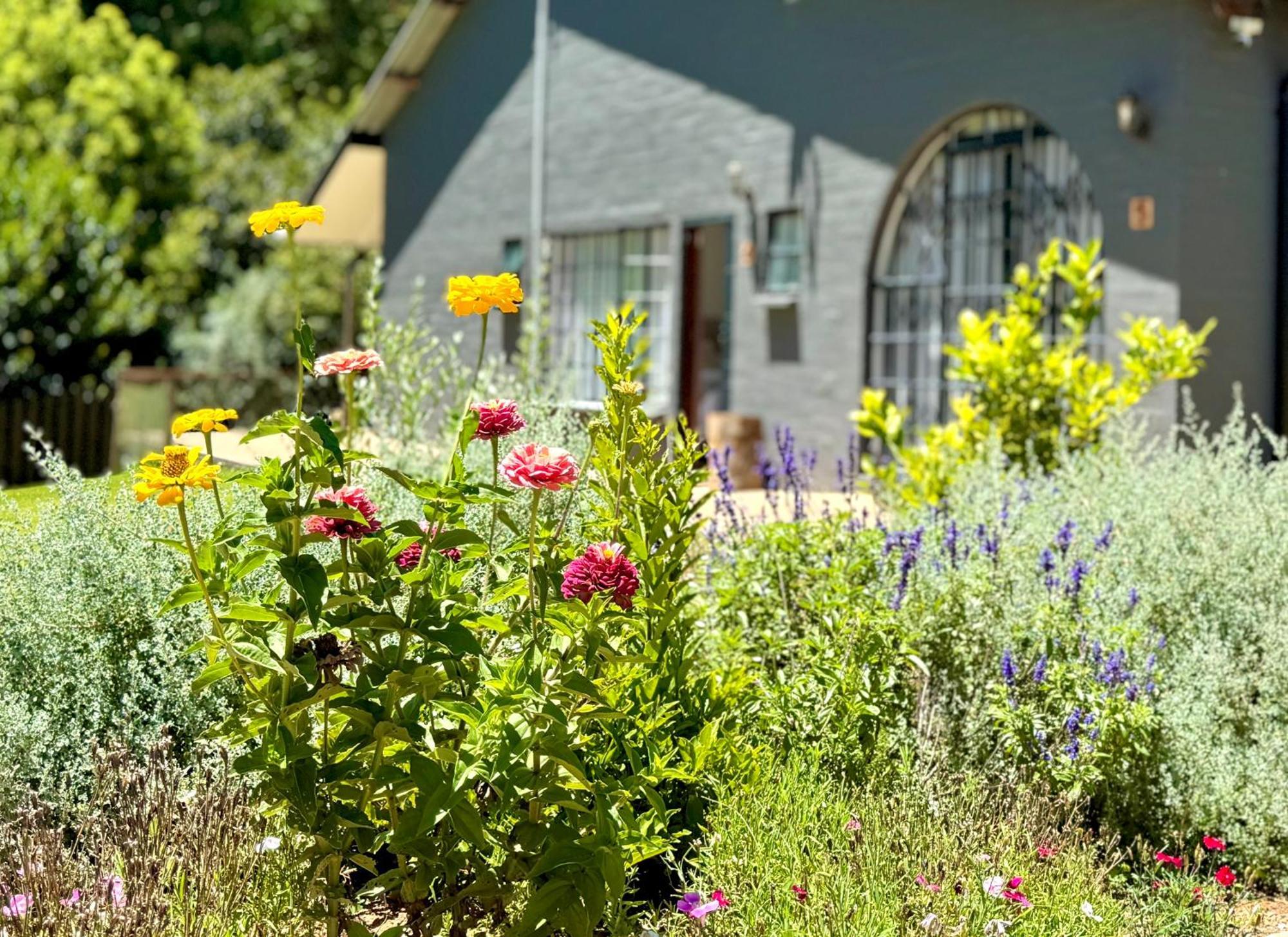 Fiddler'S Green Magoebaskloof Dış mekan fotoğraf